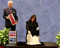 Maltese #6 Sat Group 2 K Kasten P Baily C Emerson W Warke Agent Tonia Holibaugh Judge R Hartinger LR Midland Feb 2013