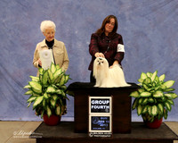 Maltese #6 Sun Group 4 K Kasten Agent Tonia Holibaugh Judge P Hartinger LR Midland Feb 2013