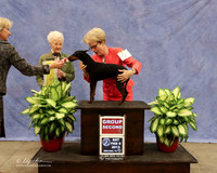 Manchester Terrier #5 Sat Group 3 CHANGE WIN BOARD Barbara Wood & JoAnn Emrick P Hartinger LR Midland Feb 2013