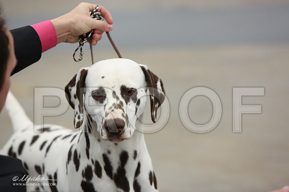 NonSpGrp-7110-LR