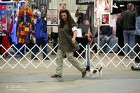 Papillon Sat Ring LR Midland Feb 2013