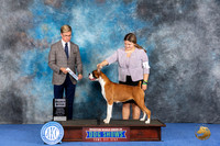 Boxer #32 WED SB Judge Douglas Johnson