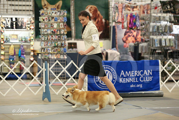 CorgPW-2492-LR