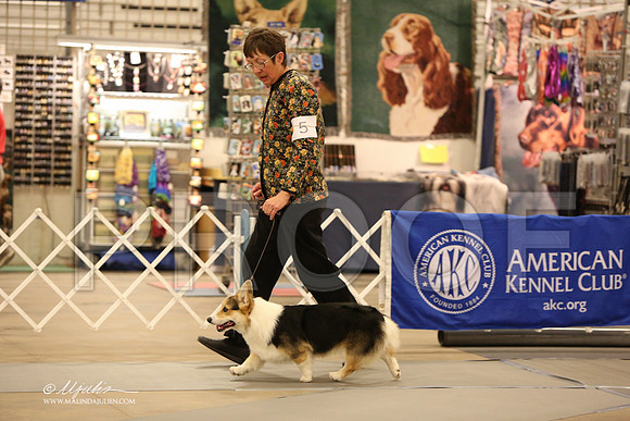 CorgPW-2510-LR