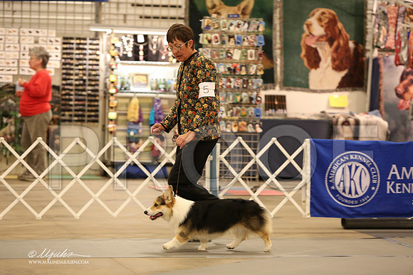 CorgPW-2511-LR