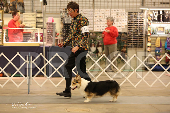 CorgPW-2514-LR
