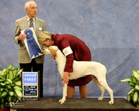 Pointer #6 Sun Group 1 Jennifer Mosing & Paige O'Neil Agent Brooke Young Ayala Judge R Hartinger LR Midland Feb 2013