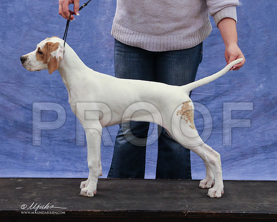 pointer-9416-LR