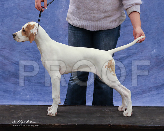 pointer-9418-LR
