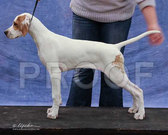 pointer-9425-LR