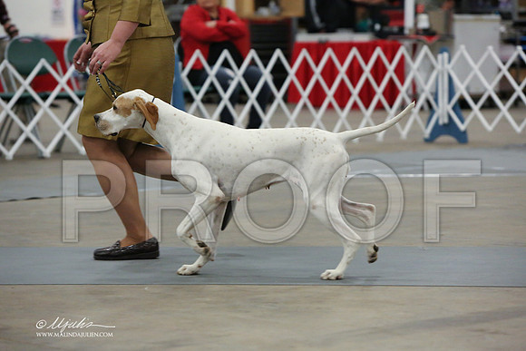 pointer-3427-LR