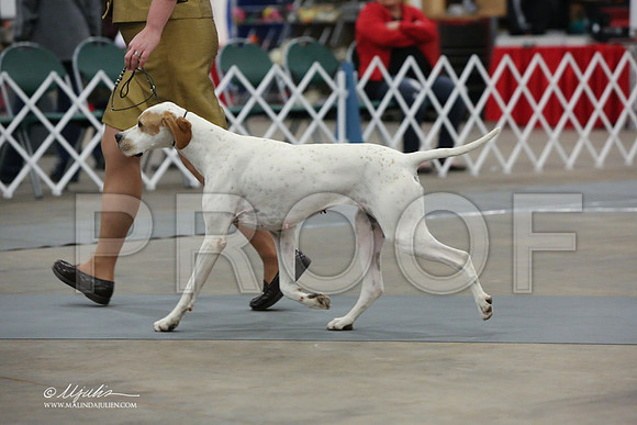 pointer-3428-LR