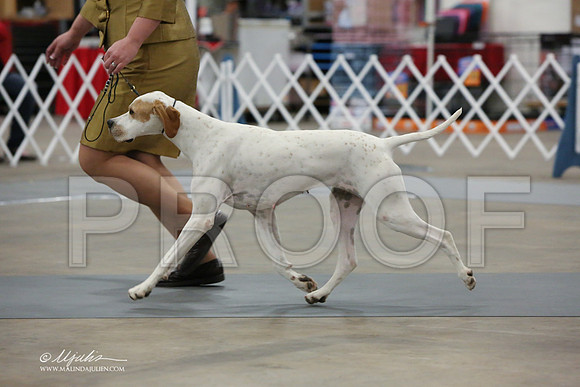 pointer-3425-LR