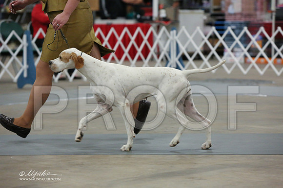 pointer-3426-LR