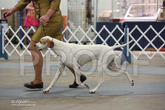 pointer-3423-LR