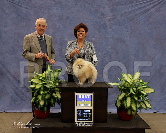 Pom-0537-LR