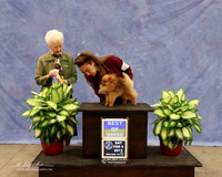 Pomeranian #12 Sat BOB Linda Pelz Agent Aslynn Rose Judge P Hartinger LR Midland Feb 2013