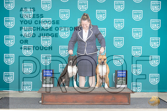 American Pit Bull Terrier #124 Fri G1 Valerie #134 Fri G1 Pam__JP_6341_BatesvilleMS_2024_HR3