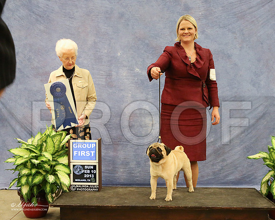 Pug-0986-LR