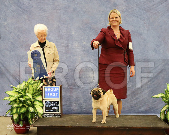 Pug-0987-LR