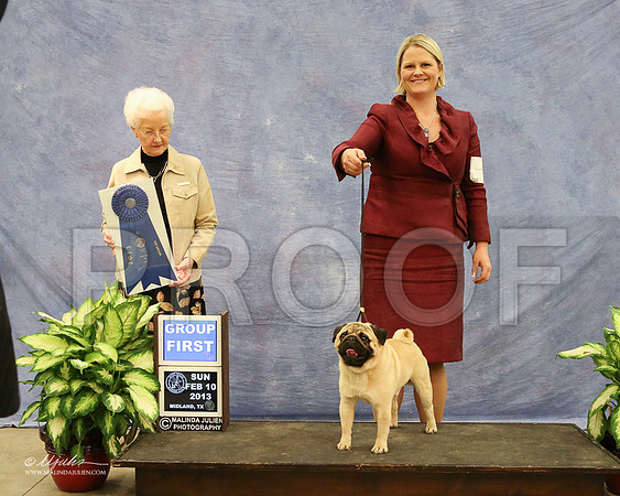 Pug-0988-LR