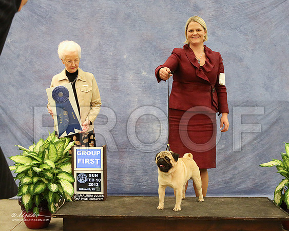 Pug-0990-LR