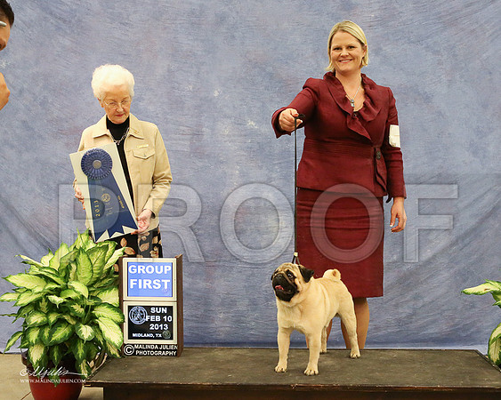 Pug-0992-LR