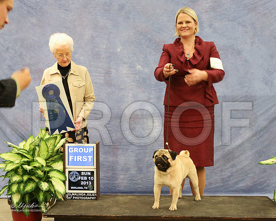 Pug-0994-LR