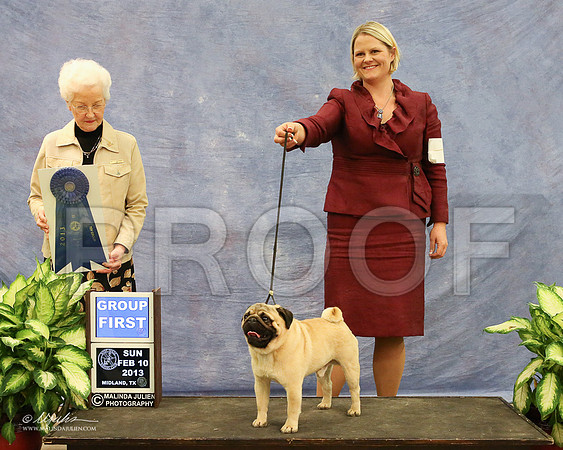 Pug-0998-LR