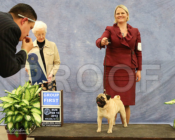 Pug-0995-LR