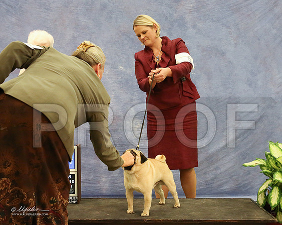 Pug-1000-LR