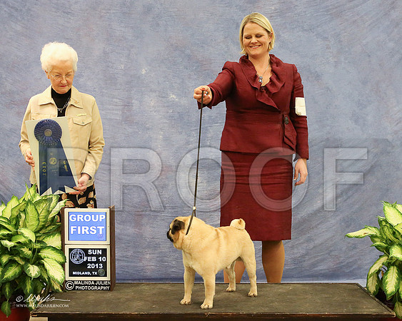 Pug-1002-LR