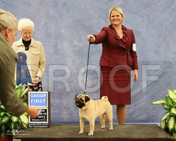 Pug-1003-LR