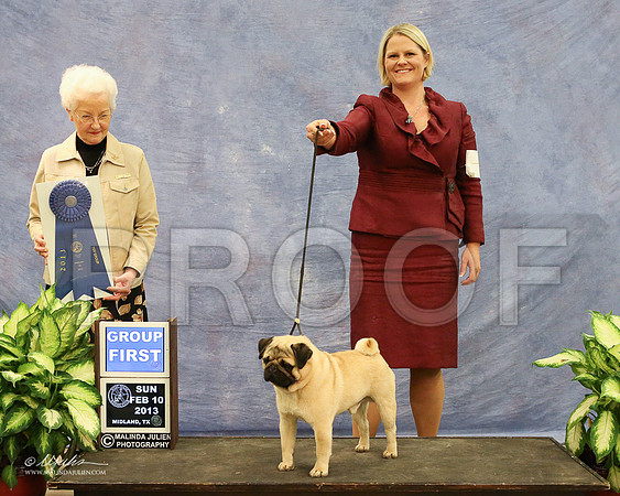 Pug-1008-LR