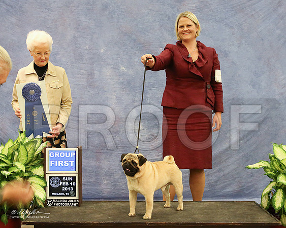 Pug-1011-LR