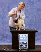Pug Fri B Match Group 1 Brooke Ayala LR Midland Feb 2013