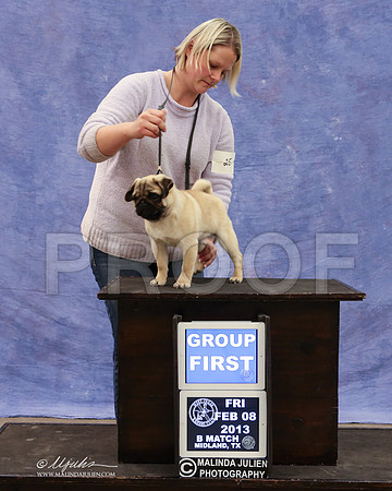 Pug-9430-LR