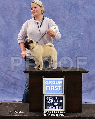 Pug-9433-LR