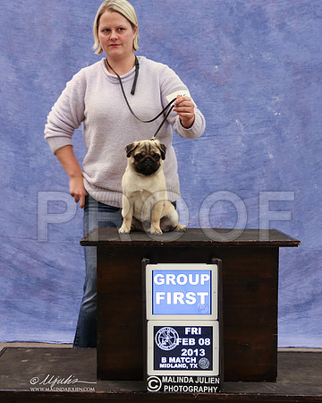Pug-9436-LR