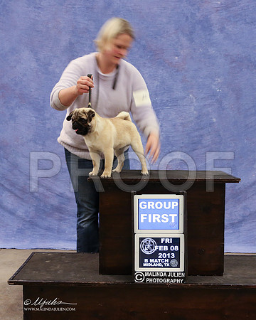 Pug-9441-LR