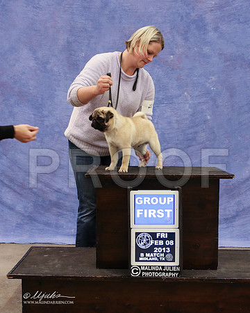 Pug-9444-LR