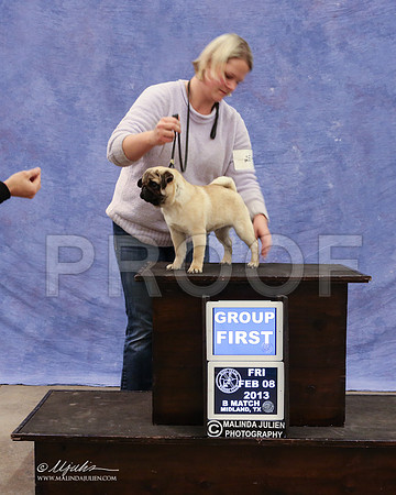 Pug-9445-LR