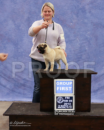 Pug-9447-LR