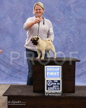 Pug-9448-LR