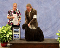 Pulik #6 Sat Group 4 Denise Hines Agent Lois DeMers Judge A Inman  LR Midland Feb 2013