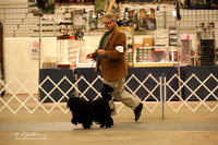 Pulik Sat Ring LR Midland Feb 2013