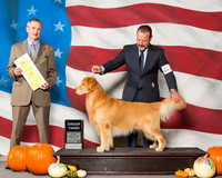 Retrievers Golden #5 Sun G3 Bates Jeannine Maura Roxby Agent David M Harper Judge Mr Rick Gschwenden