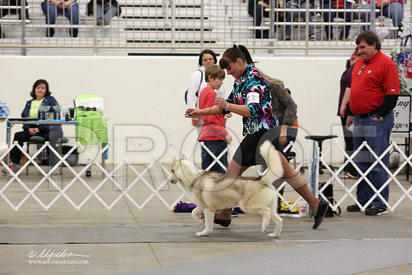 Husk-5946-LR