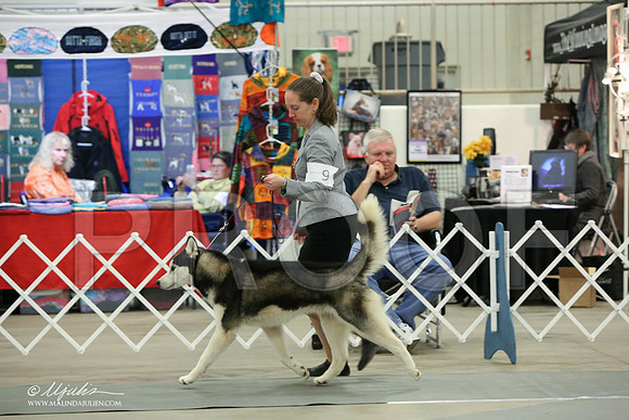Husk-0217-LR