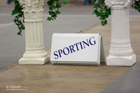 Sporting Group Sat Ring LR Midland Feb 2013